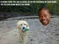 Yo dawg herd