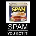 SPAM! You Got It!