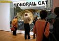 Monorail cat will be studied by millions in the years to come