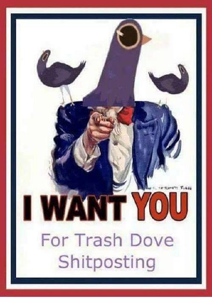 File:Trash Dove I WANT YOU meme.jpg