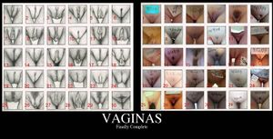 Vaginas2.jpg