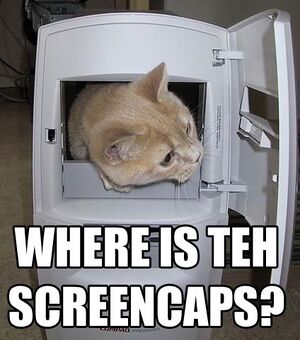 Screencapcat.jpg