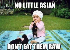China - Raw Puppy Eats.jpg