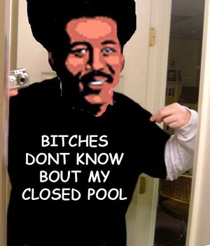 Bitches pool.jpg