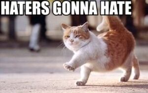 Haters-gonna-hate-cat.jpg