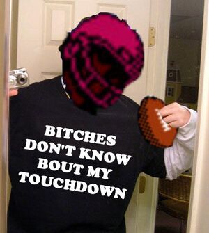 Bitches-Touchdown.jpg