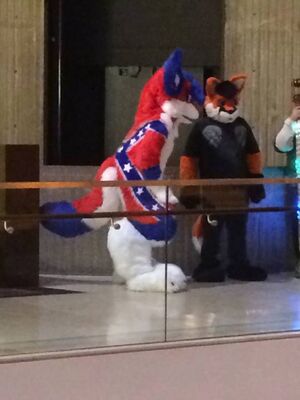 Furries - Confederate Flag Fur.jpg