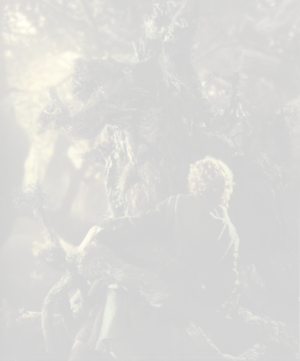 Treebeard Grabs Pippin.png