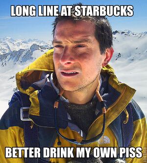 Bear grylls.jpeg