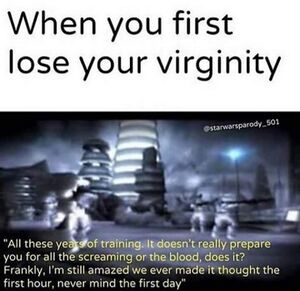 501st Virgin Sex.jpg