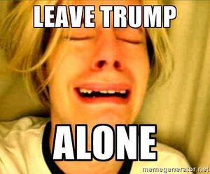 Leave Trump Alone.jpg