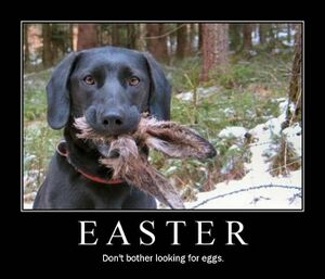 Easter - Don't Bother.jpg