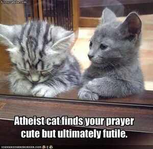 Atheist cat2.jpeg