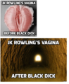 JK Rowling's vagina