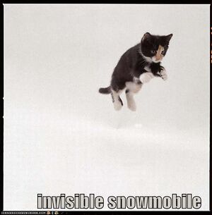 Invisiblesnowmobile.jpg