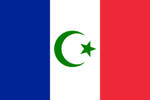 French flag.png