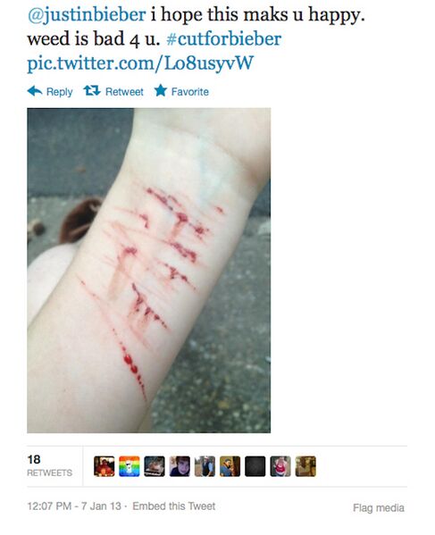 File:Hashtag Cut4Bieber 3.jpg