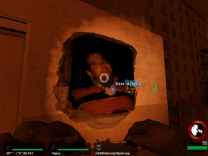 L4D CWC Spray.png