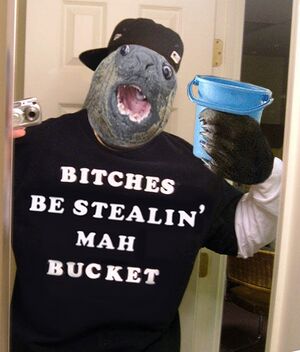 Bucket5 copy.jpg