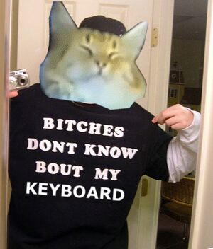 Keyboard cat dont know edited-1.jpg