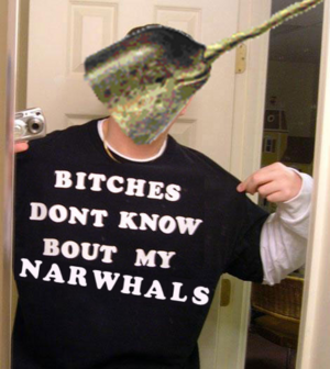 Bitches-narwhal.png