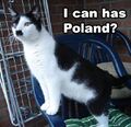 Can he haz Poland?