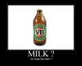 Beer as in milk?