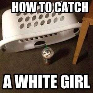 Catchawhitegirl.jpg