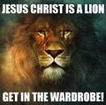 Jesus Christ is a Lion!