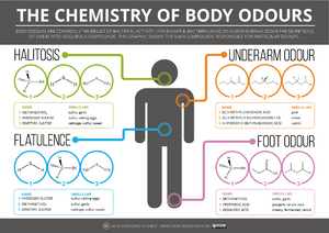 Chemistry-of-Body-Odours-FINAL.png