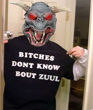 BOUT MY ZUUL.jpg