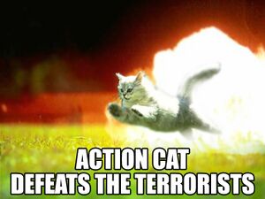 Actioncat.jpg