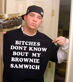 DontKnowBoutSamwich.jpg