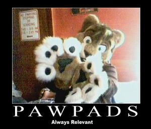 1269895064.strongpawz pawpads.jpg