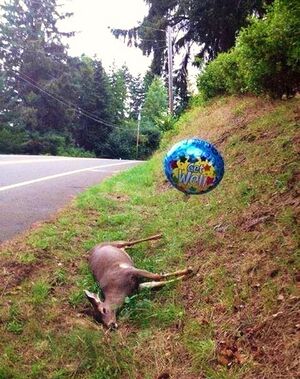 Get well deer.jpg