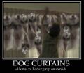 Dog Curtains...the only firewall for steroidal hackers.