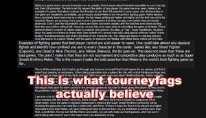 Tourneyfag Post.jpg