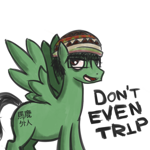 PTponysona.png