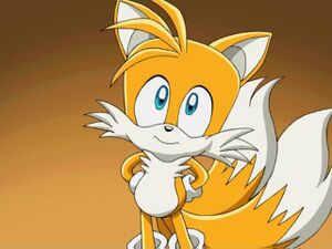 007tails.jpg