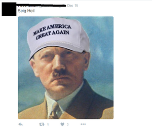 Proofhitlervotedtrump.png