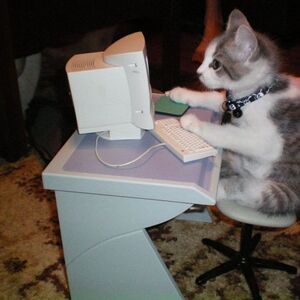 Small kitty on computer.jpg