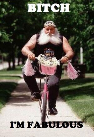 Fabulous biker.jpg