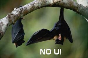 No u bats.jpg