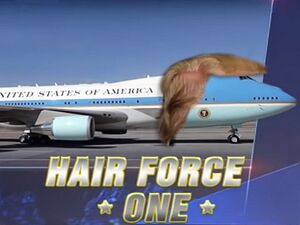 Trump Hair Force one.jpg