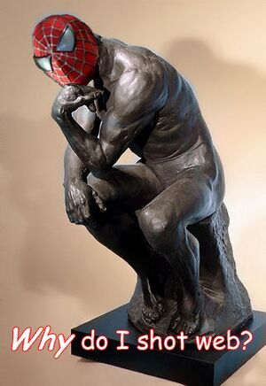 WhydoIshotweb.jpg