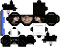 Make your own Boxxy!