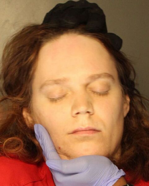 File:Ziz playing dead.jpg