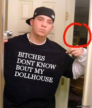 Bitches dollhouse.jpg