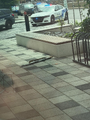 The perpetrator of this crime lying on the ground.