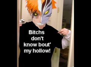 Bitchsdontknowabouthollowichigo.jpg